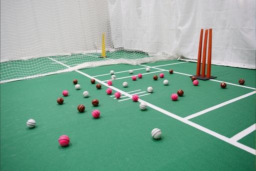 Cricket Cage 2 - 120' x 15'