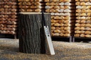 GM Ross Taylor Players Edition Cricket Bat