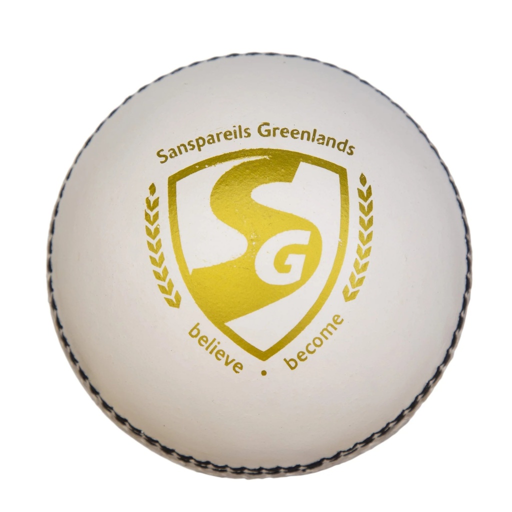 SG Shield 20 Cricket Ball - White