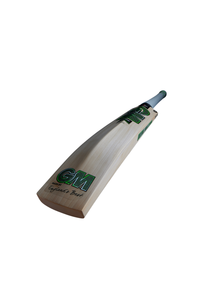 GM Verva Signature Cricket Bat