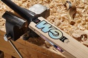 GM James Vince Players Edition Cricket Bat